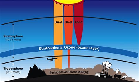 thickness of stratospheric ozone layer is measured in|Science .